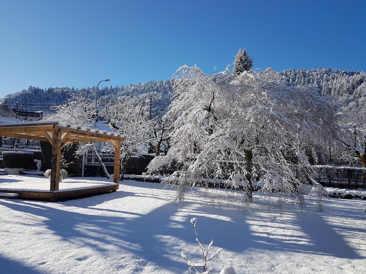Le Castelet Otel Le Mont-Dore Dış mekan fotoğraf